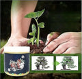 Special Bone Meal Organic Fertilizer, Promote The Growth Of Flowers And Fruits Pack of 2